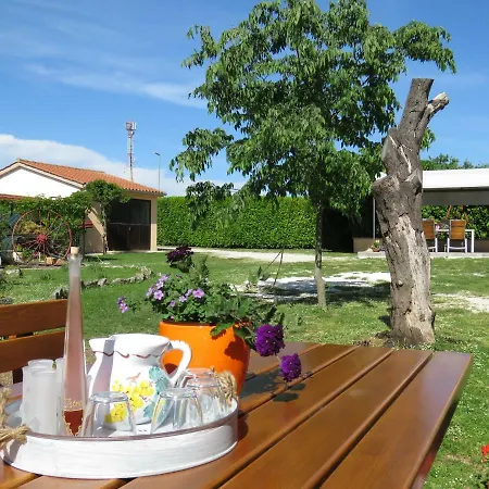 Apartament Vita *
